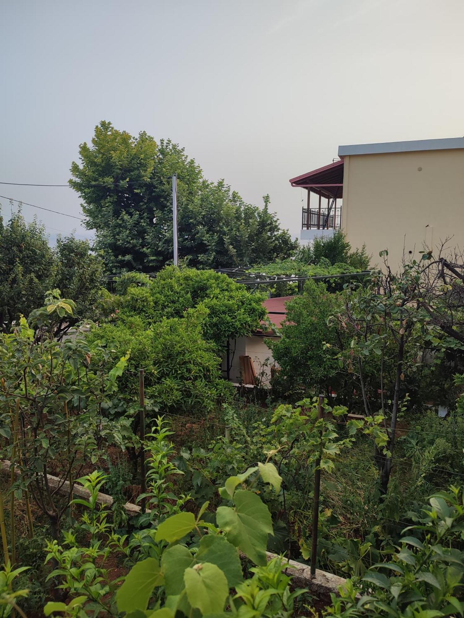 Villa Janilla Dhërmi Exteriér fotografie