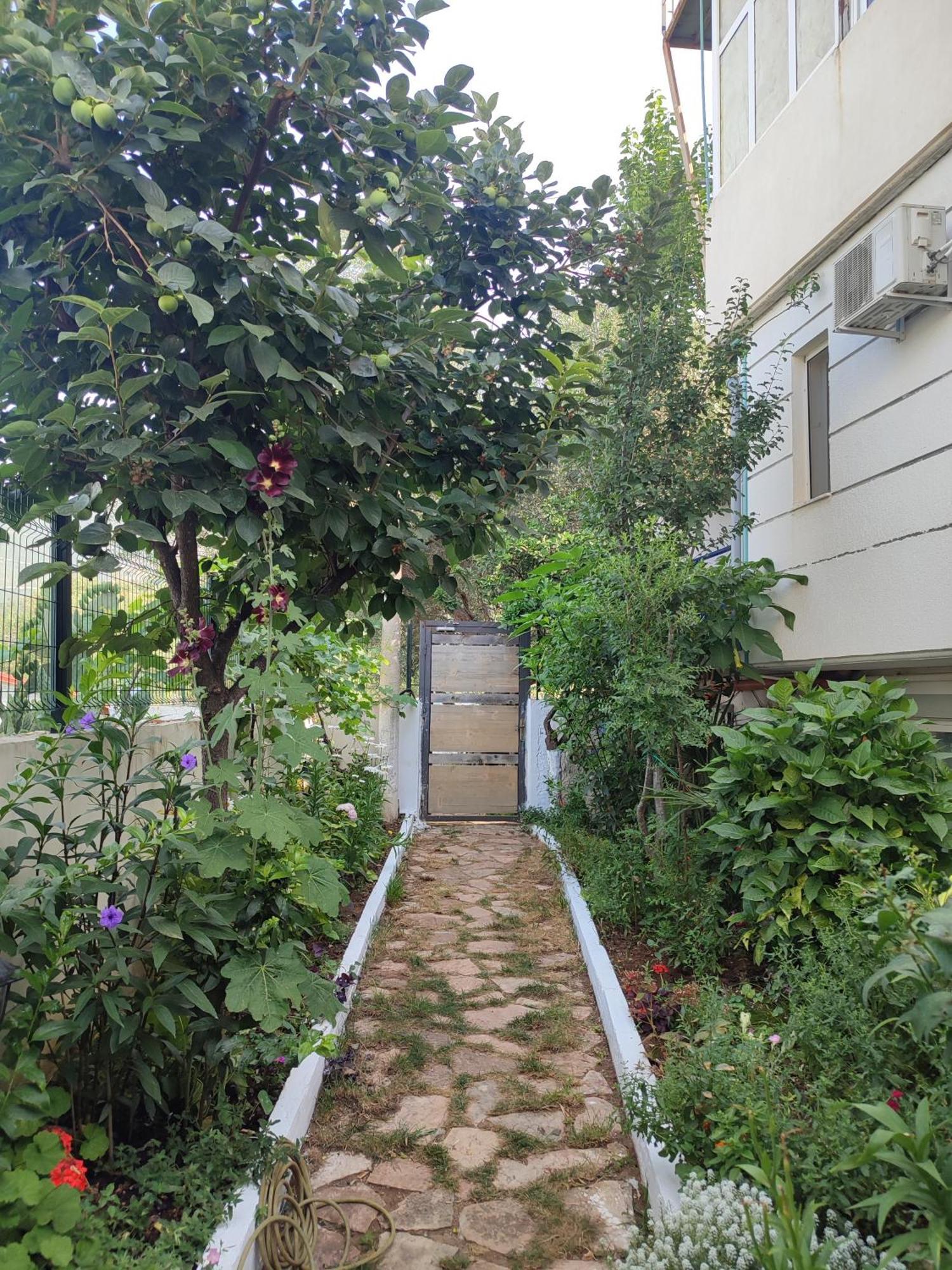 Villa Janilla Dhërmi Exteriér fotografie